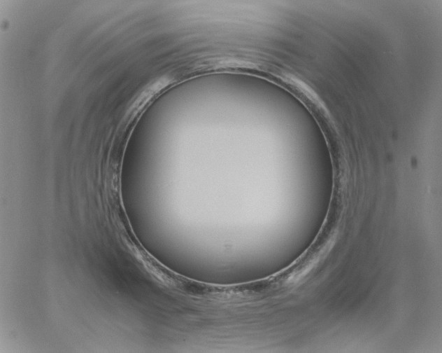 X0000060750793200512081942