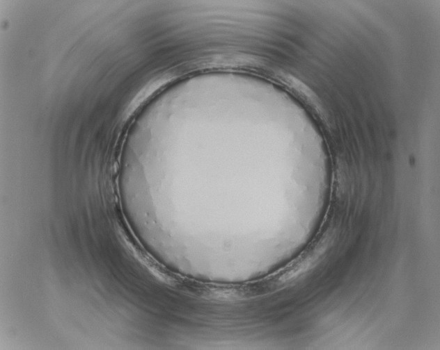 X0000060750794200512081942