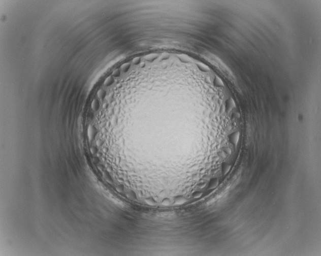 X0000060750798200512081942