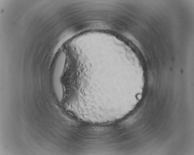 X0000060750829200512081941