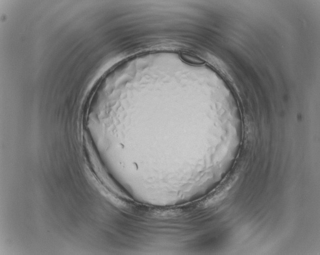 X0000060750843200512081941