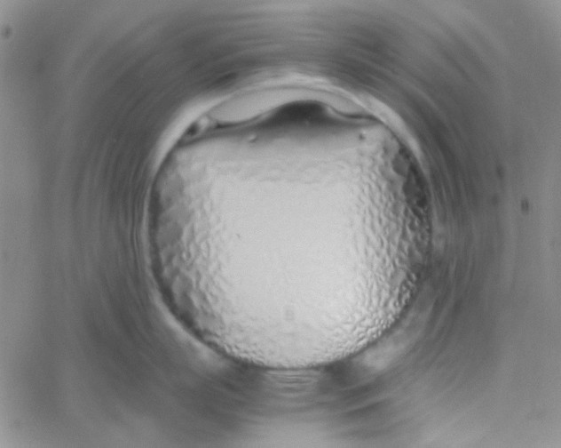 X0000060750863200512081941