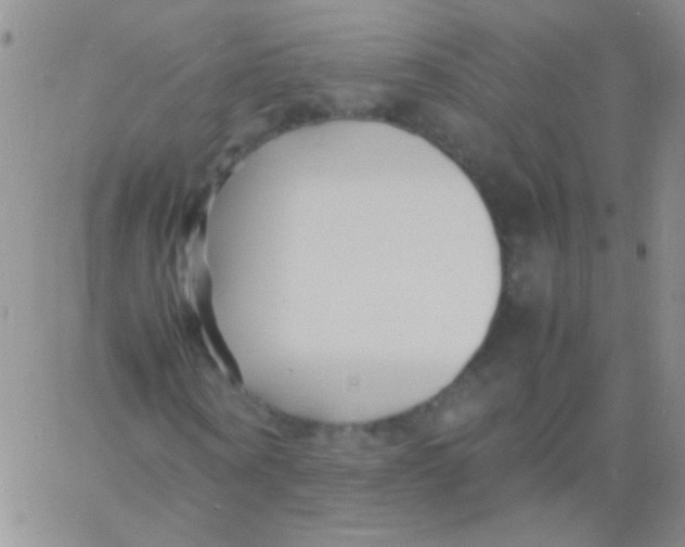 X0000060750866200512081940