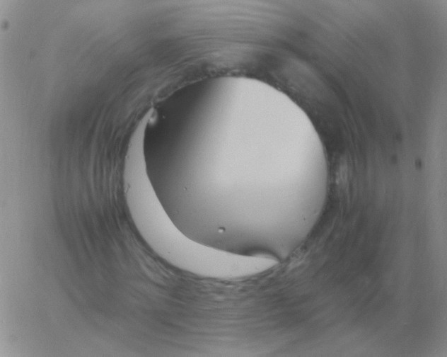 X0000060750868200512081940