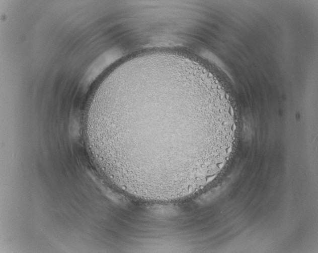 X0000060750874200512081940