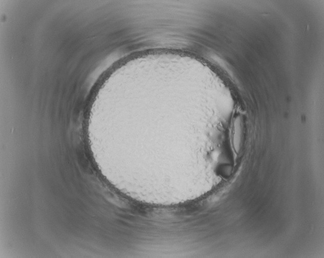 X0000060750875200512081940