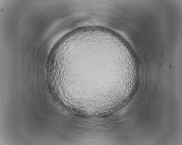 X0000060750879200512081940