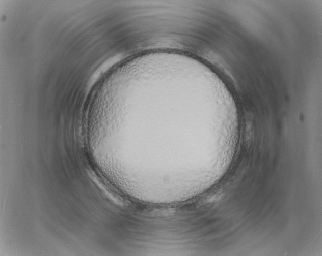 X0000060750882200512081940