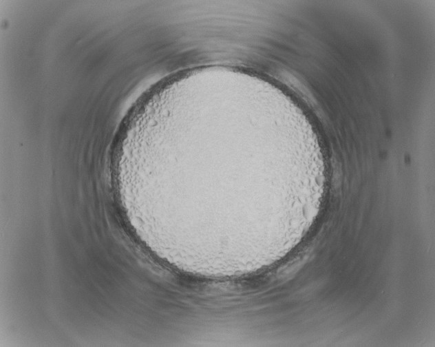 X0000060750883200512081940
