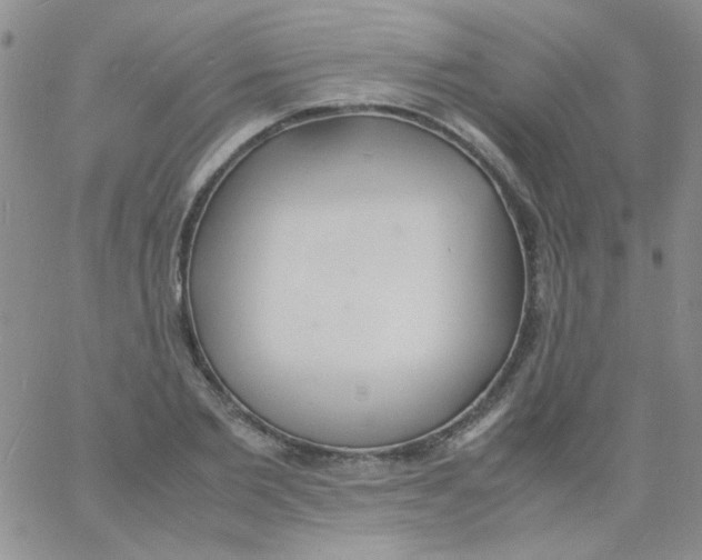 X0000060750885200512081940