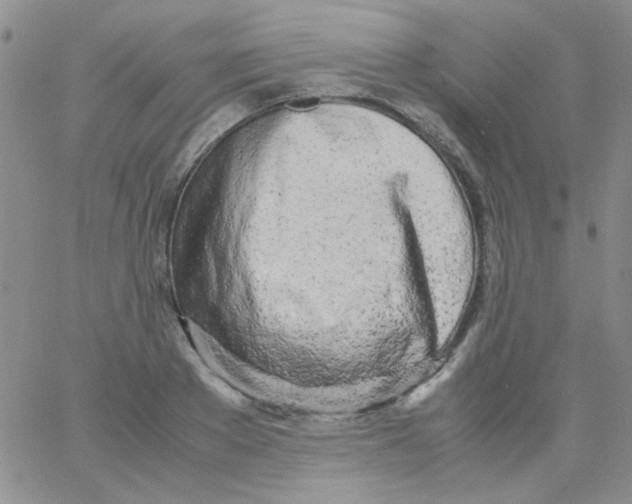 X0000060750889200512081940