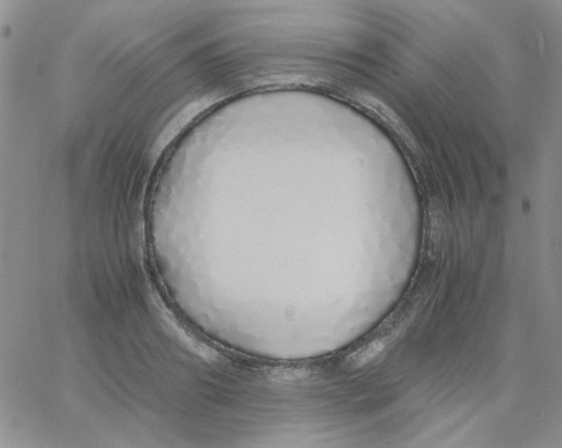 X0000060750890200512081940