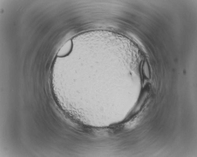 X0000060750899200512081940
