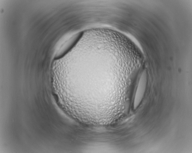X0000060750911200512081940