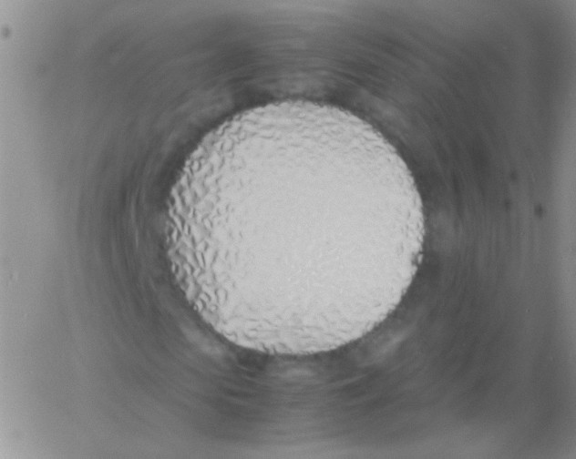 X0000060750913200512081939