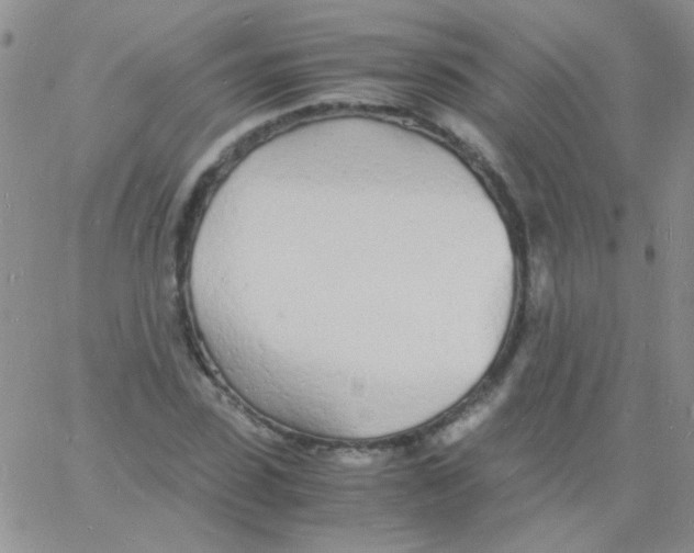 X0000060750923200512081939