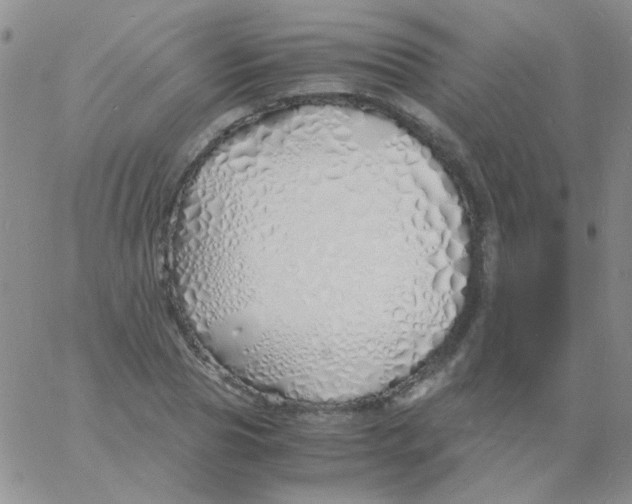 X0000060750929200512081939