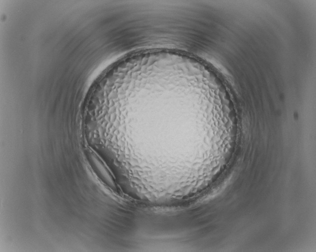 X0000060750933200512081939