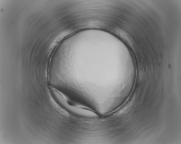 X0000060750938200512081939