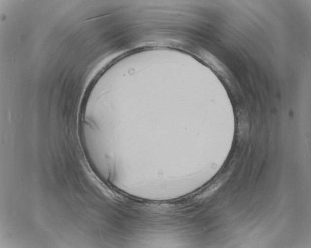 X0000060750940200512081939