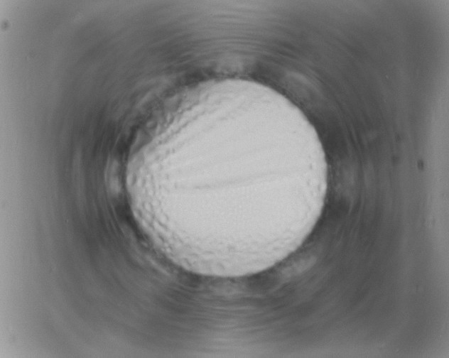 X0000060750962200512081939