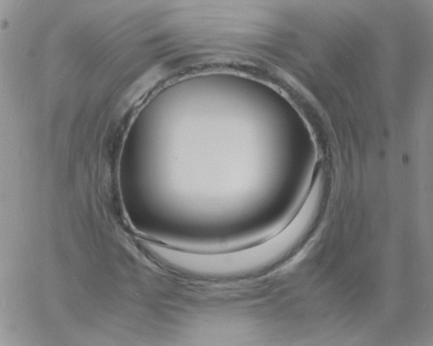 X0000060750969200512081939