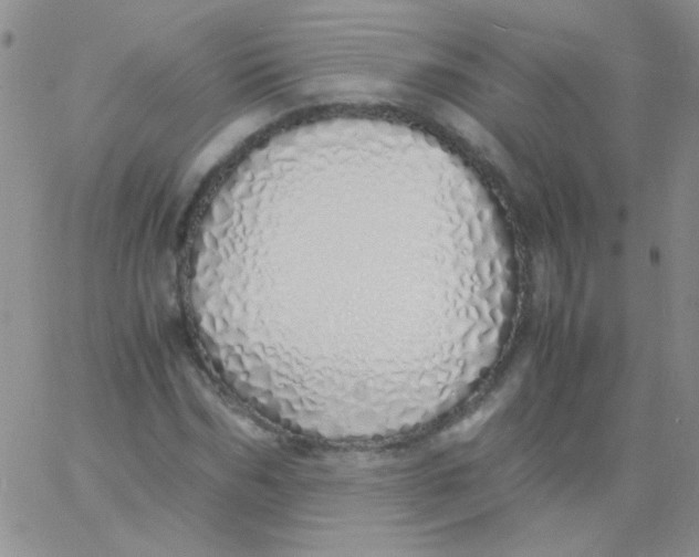 X0000060750970200512081939
