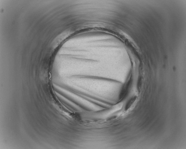 X0000060750977200512081939