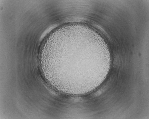 X0000060750978200512081939