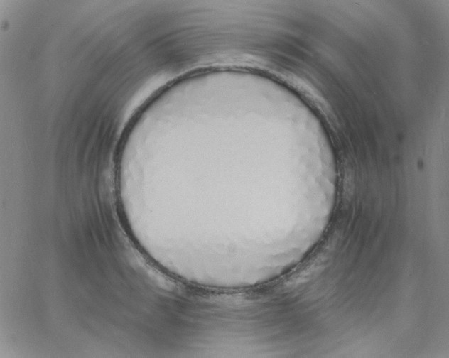 X0000060750990200512081938