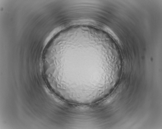 X0000060750994200512081938