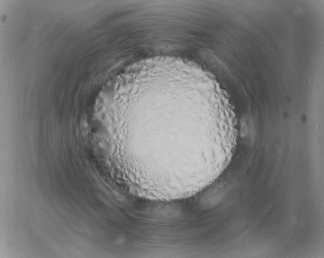 X0000060751011200512081937