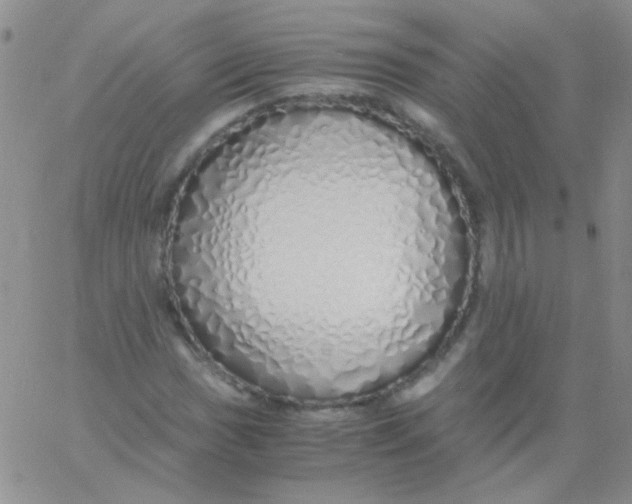 X0000060751017200512081937