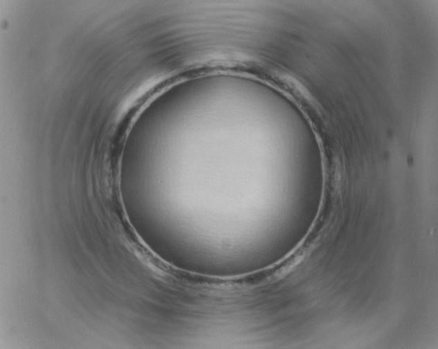 X0000060751018200512081937