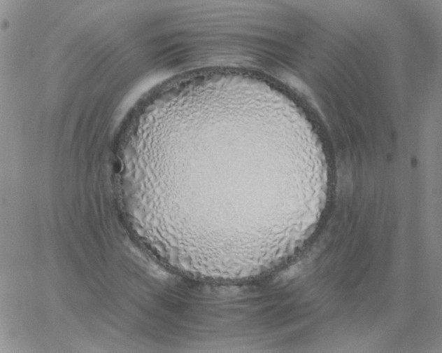X0000060751019200512081937