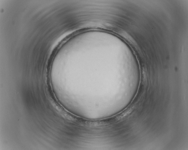 X0000060751020200512081937