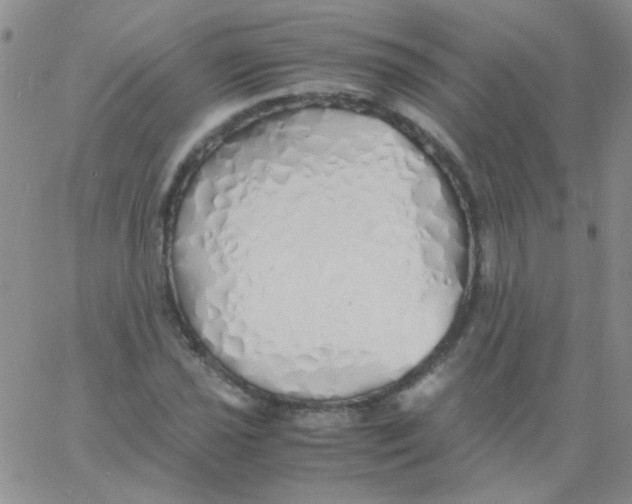 X0000060751021200512081938