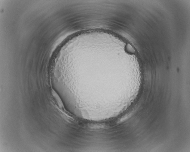 X0000060751023200512081938