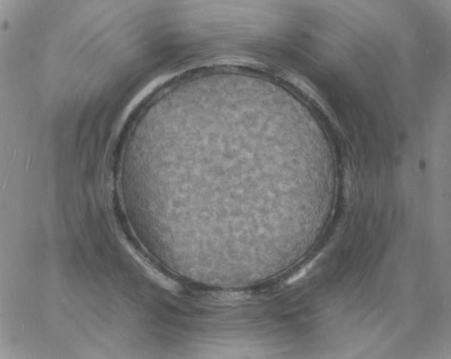 X0000060751024200512081938