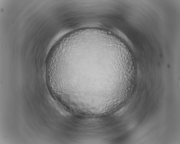 X0000060751035200512081938