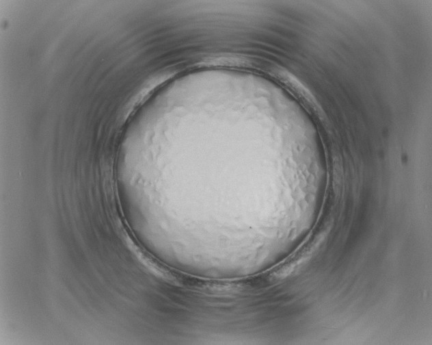 X0000060751041200512081938