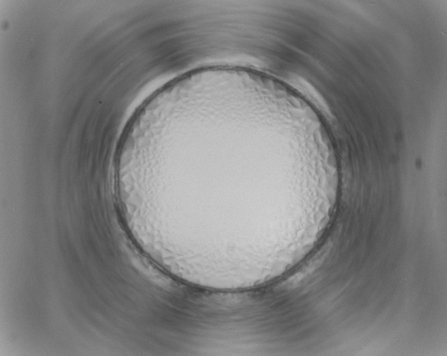 X0000060751044200512081938