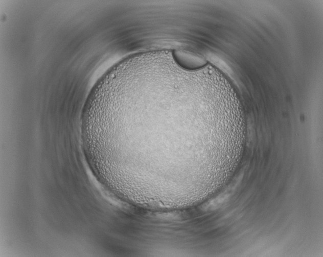 X0000060751047200512081938