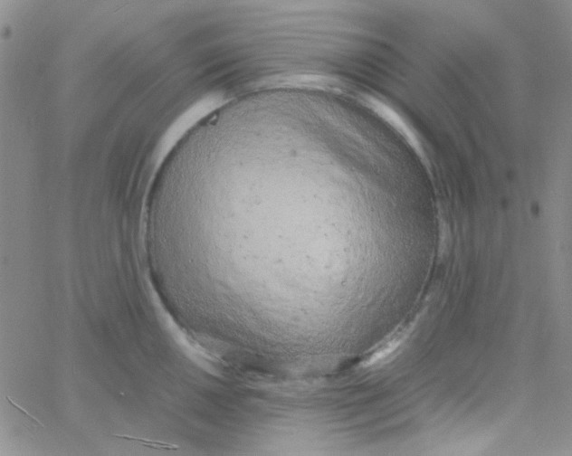 X0000060751050200512081938