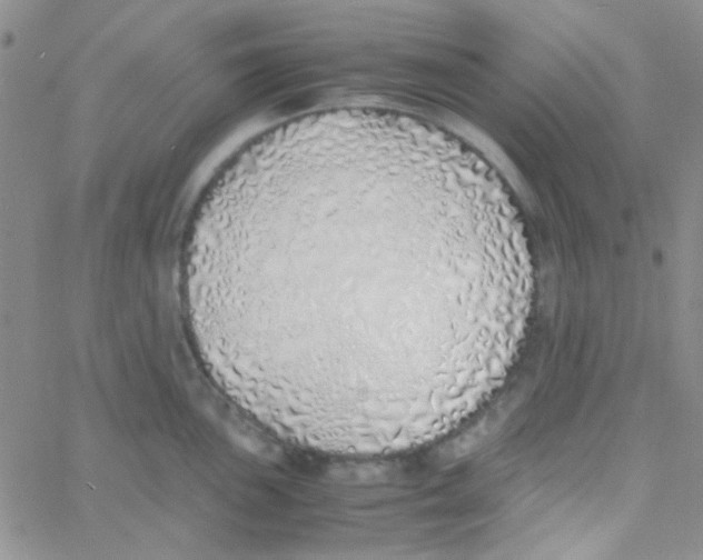 X0000060751051200512081938