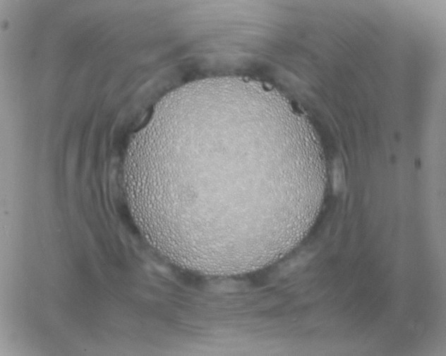 X0000060751059200512081937