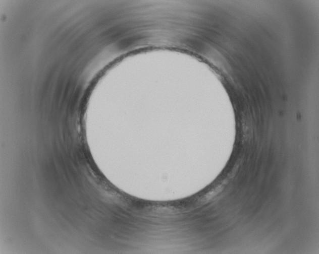 X0000060751070200512081937