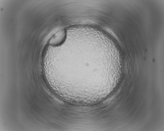 X0000060751071200512081937