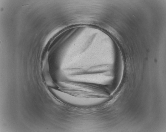X0000060751077200512081937