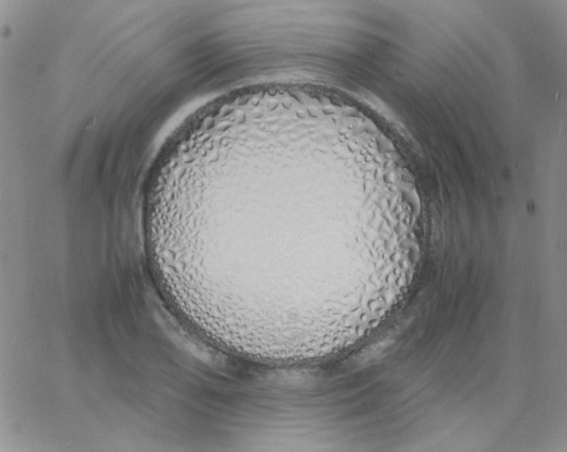 X0000060751078200512081937
